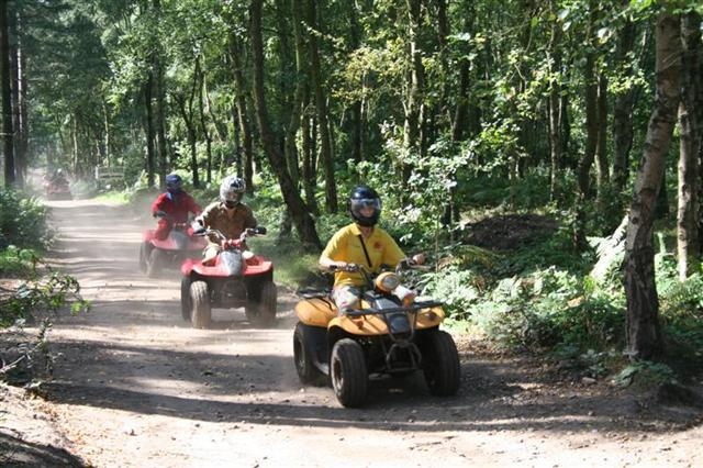  Disfruta de una explosión en el bosque ... 